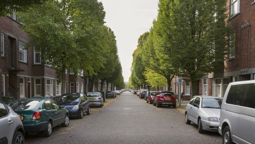 mainImage