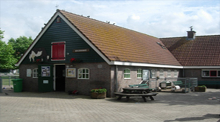 mainImage